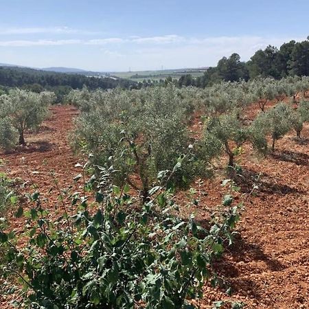 El-Cortijo Villa Siete Aguas Exteriör bild