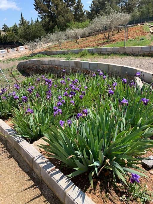 El-Cortijo Villa Siete Aguas Exteriör bild