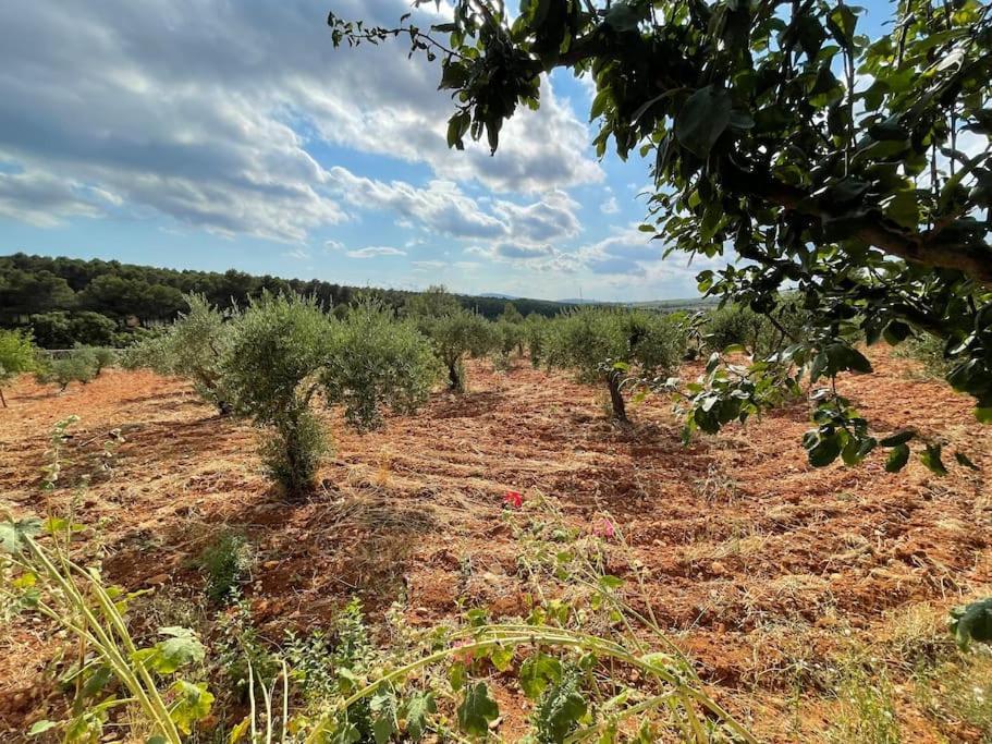 El-Cortijo Villa Siete Aguas Exteriör bild